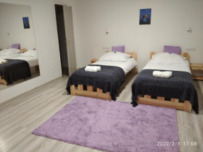 Penzion Tvrz Dub u Tábora, Ratiborské Hory